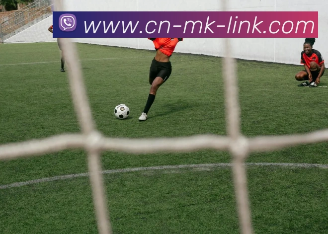 MK体育平台生态图